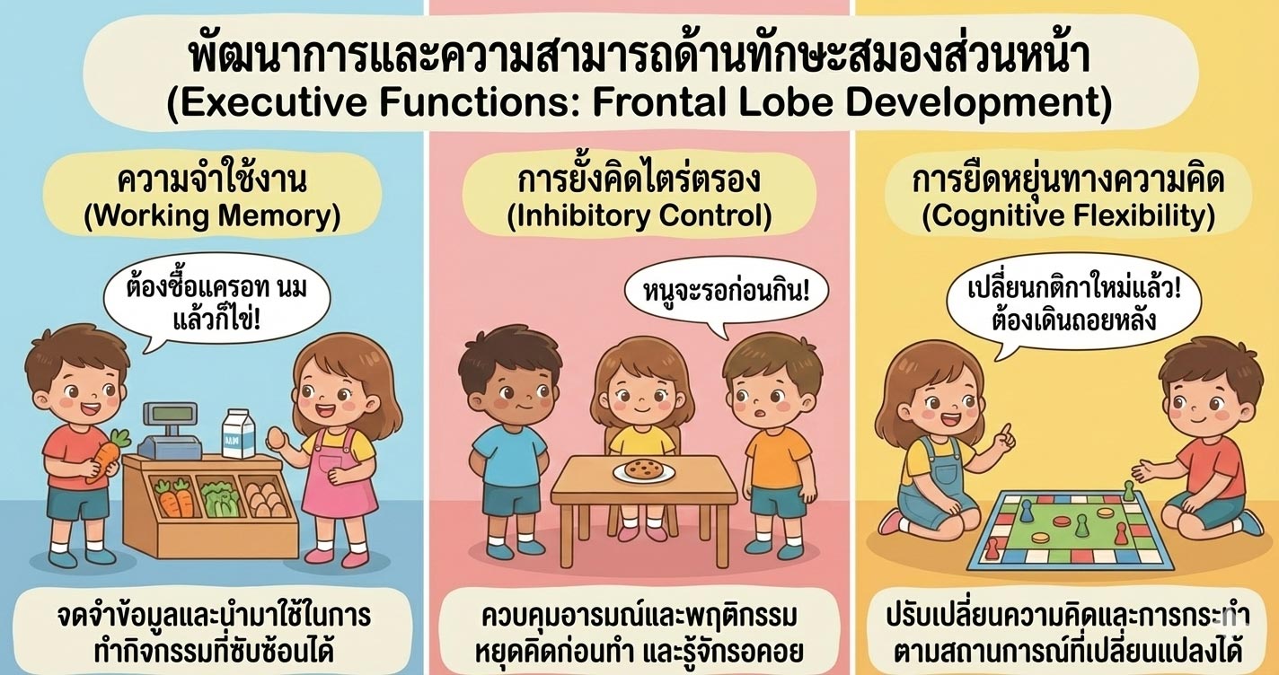 พัฒนาการและความสามารถด้านทักษะสมองส่วนหน้า